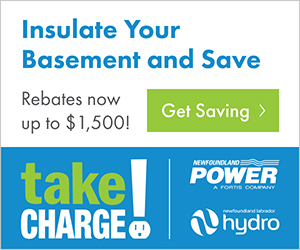 Take Charge Basement